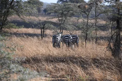 DSC_3429 (Large).JPG